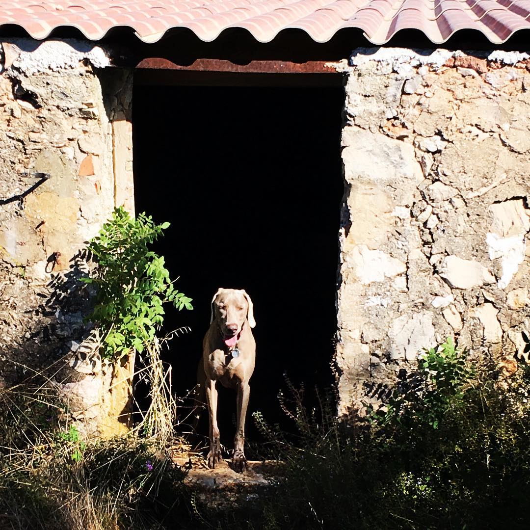 OK CORRAL – Cuges les Pins – MyPACA